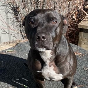 Meet your Posher, Karen